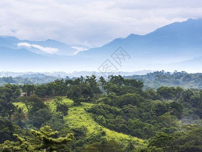 景观古老的生物圈墨西哥恰帕斯的森林风景与山岳交汇于墨西哥恰帕斯图片