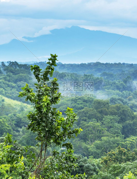 门户14墨西哥恰帕斯的森林风景与山岳交汇于墨西哥恰帕斯自然丛林图片