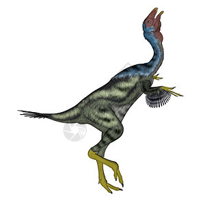 时代插图史前Caudipteryx恐龙头顶白色背景3D造型图片