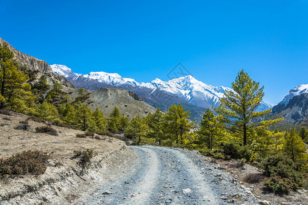 一种徒步旅行风景喜马拉雅山路在尼泊尔桑春日的喜马拉雅山上图片