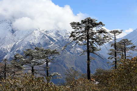 尼泊尔喜马拉雅的孔德里山喜马拉雅景观冰川旅行图片