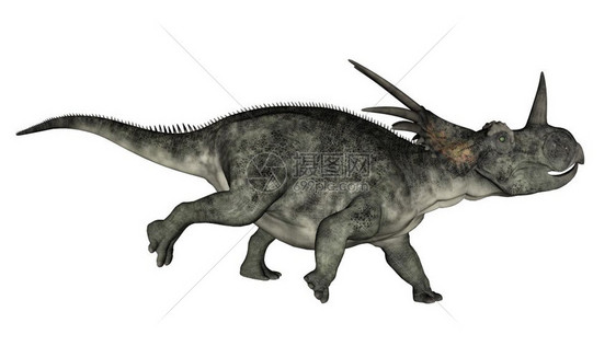 白色的底恐龙在色背景下运行三维转化爬虫自然图片
