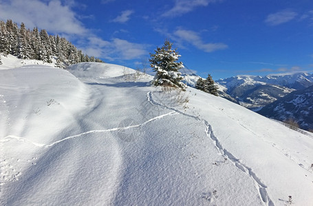 雪山上的滑雪道图片