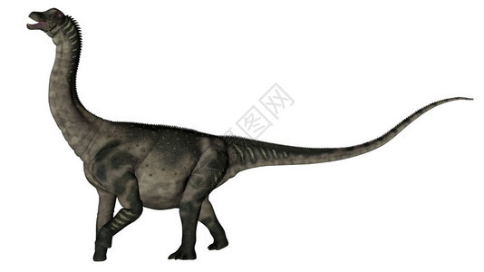 恐龙在白色背景中被孤立地咆哮3D使恐龙成为了3D南极龙使成为野生动物图片