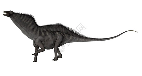动物恐龙在白色背景中行走和咆哮3D化亚马龙恐为3D化身形象的草食图片