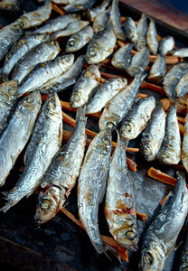 把胡萝卜烤成大棒桑地那维的美食鲱鱼芬兰丹麦图片