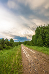 天俄罗斯旅行在雨季夏日绿草中铺沙路图片