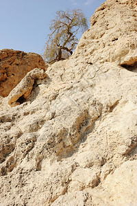 纳哈尔旅行以色列死海岸EinGedi自然保护区山丘中的以色列死海沿岸峡谷图片