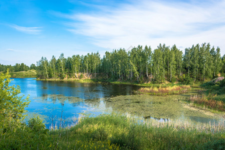 美丽的风景与一个小湖在阳光明媚的夏日俄罗斯白色的天景观图片