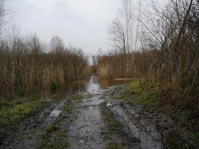 地球春秋乡村路弯曲在前方轮道上雨水坑湿润泥乡村的图片