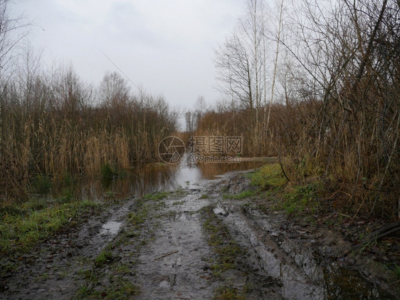 地球春秋乡村路弯曲在前方轮道上雨水坑湿润泥乡村的图片