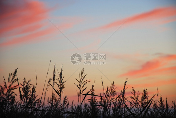 美丽的颜色彩柔软天空在暮光下闪重现细节图片