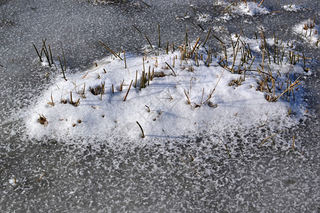 季节水荷兰瓦塞纳尔Lentevreugd自然区一个小洞的冰层上青草一种图片