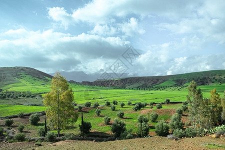 春夏对摩洛哥农村山地和蓝天空的乡村绿色农耕作物田景图月夏户外稻田草图片