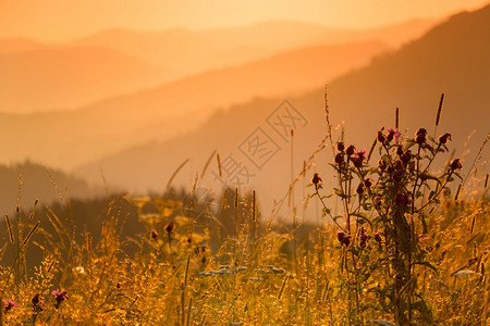 美丽的夕阳风景图片