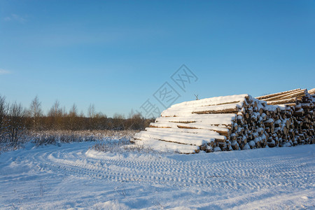 木材自然树大堆雪覆盖了路边的木头在明晴冬季白天图片