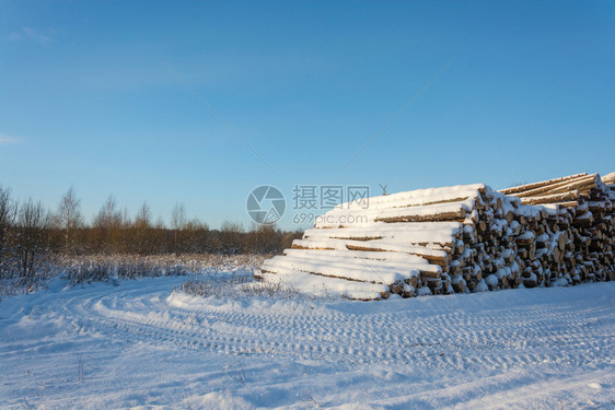 木材自然树大堆雪覆盖了路边的木头在明晴冬季白天图片