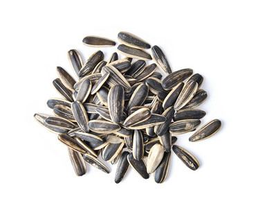 向日葵和种子图片_向日葵和种子素材图片大全_摄图网