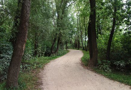 景观森林自然波兰华沙Vistula河附近公园的自行车通道背景图片