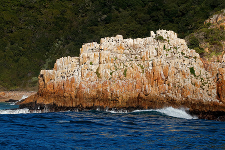 海岸线浪一种南非以大型沿海岩石和焦热鸟类聚居地为海景区图片