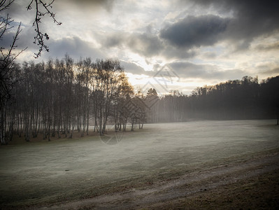 路落下树林中的黎明Hdr风景图像早晨图片