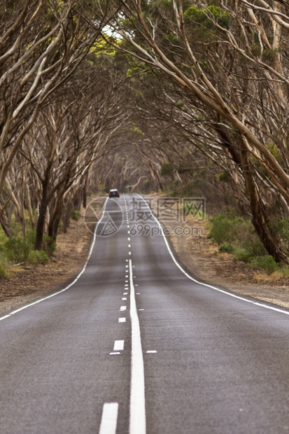 位于南澳大利亚袋鼠岛KangarooIsland地处南澳大利亚的坎加罗岛沥青汽车高速公路图片