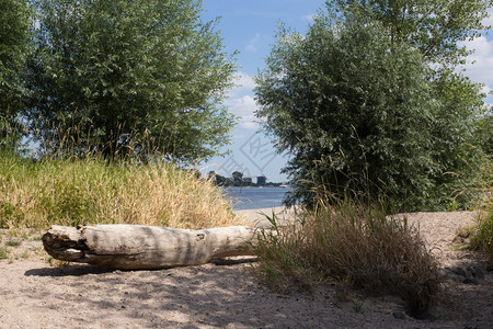 黑森州德国赫格恩海姆莱茵河滨岸松弛石头图片