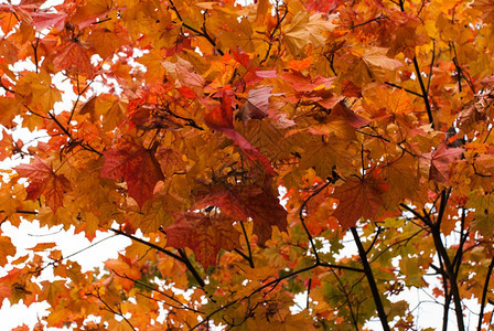 美丽的秋季山景风光图片