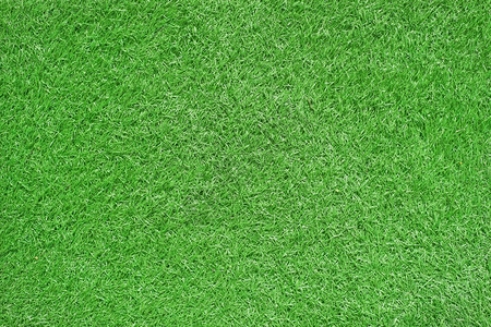 绿草作为背景或质地木制的墙纸树图片