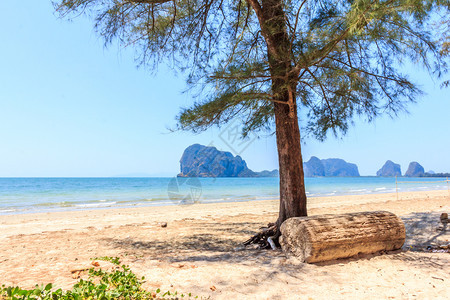 天空董里亚洲拉贾曼加海滩的树木和原其背景是石灰岩悬崖泰国特朗省图片