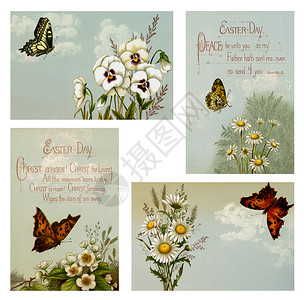 可打印用花和蝴蝶4x6英寸绘制复活节明信片古董祝贺图片