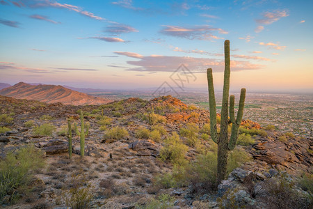 岩石联合的凤凰美国亚利桑那州菲尼克斯日落时图片
