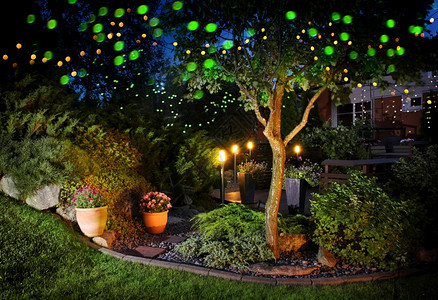 黄昏时被灯光照亮的花园庭院植物图片