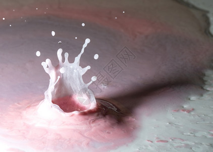 抽象的粉红酸奶上滴水的皇冠喷洒白色圆圈图片