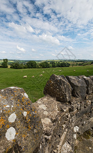 石墙和羊群的农村景象图片