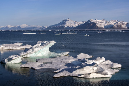 旅行游冷冻南极半岛海岸外的小型冰山韦德尔海南极图片