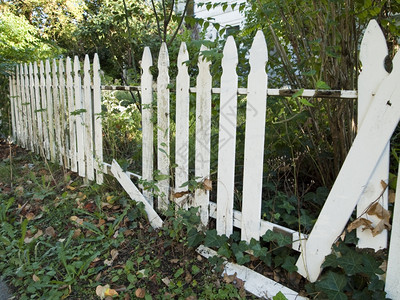 植物群轨一座白色的旧栅栏失修因为似乎被放纵和无法维护衰老图片