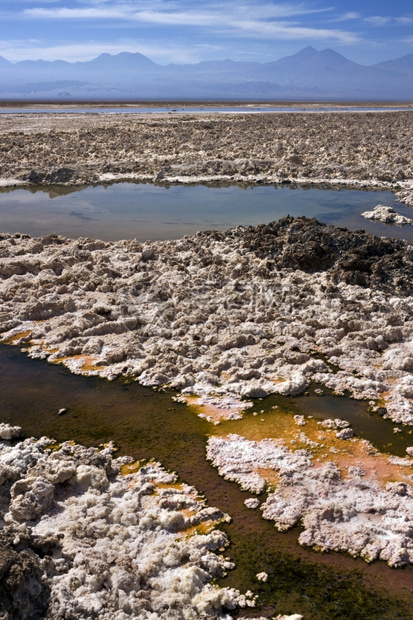 智利北部阿塔卡马沙漠盐板上的阿塔卡马水池美国景观北方图片