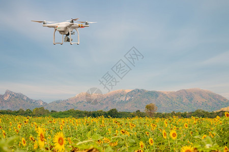 智能农民概念无人驾驶飞机越农田乡村的场地绿色图片