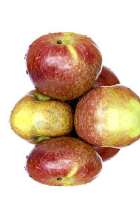 小吃白色背景上孤立的苹果玉石白色图片