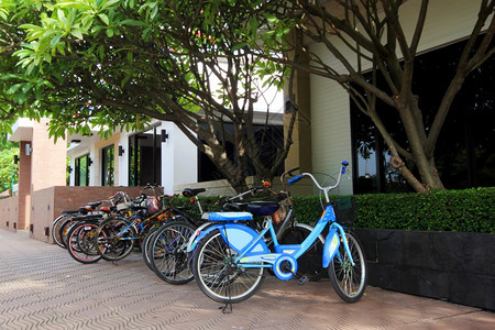 锻炼公园的自行车停泊街道图片
