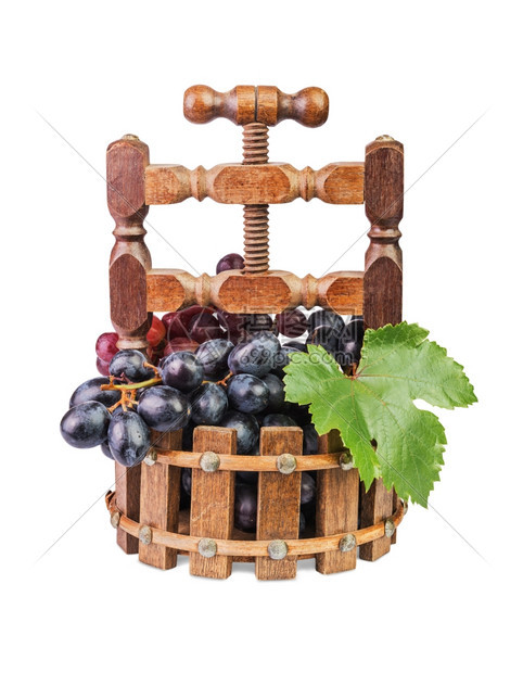 克罗波托夫黑色的红以白隔绝按压形式在木质花瓶中的葡萄图片