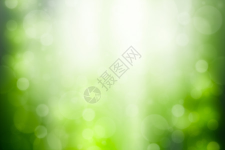 夏天自然散景绿色抽象背带bokeh和太阳光图片