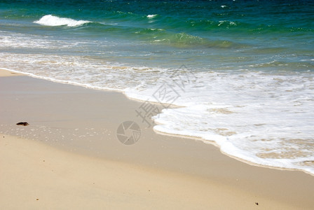 澳大利亚东海岸滩的触目惊心颜色冲浪海岸线支撑图片