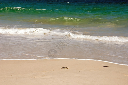 澳大利亚东海岸滩的触目惊心颜色田园诗般引人注目夏天背景图片