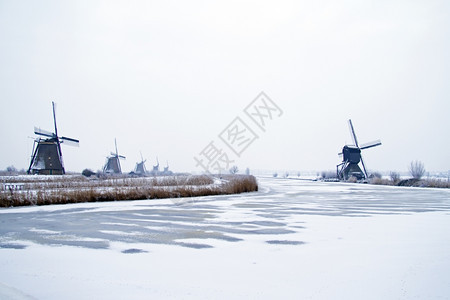 雪冬季荷兰Kinderdijk著名的风车景观磨图片