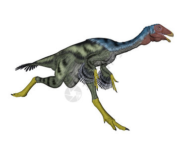 史前在白色背景下运行的3D类恐龙鸟白垩纪图片