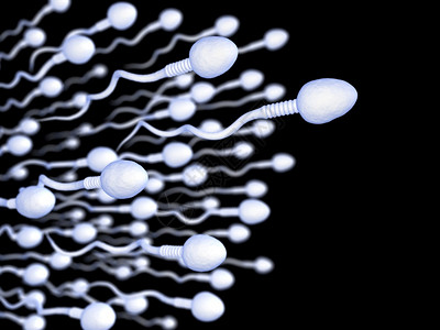 摘要3d黑背景精子的合成医疗进化生活图片