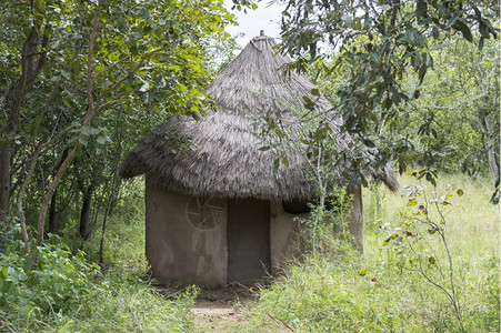 非洲农村小屋基本的草芦苇背景图片