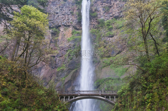 水人行天桥山穿越穆尔特诺马瀑布的桥俄勒冈州特罗塔代尔附近图片